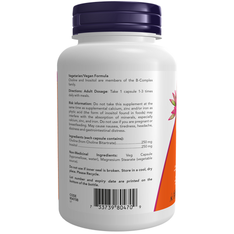 Now CHOLINE & INOSITOL 500mg, 100 Capsules